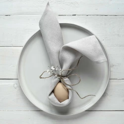Zambaiti Chou 4-Piece Dinner Napkins Set - Light Gray