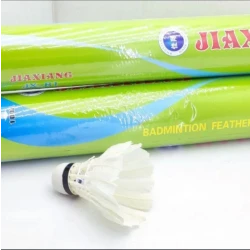 "JIAXIANG JX-B1 Shuttlecock – Durable Feather Design"