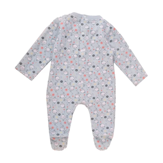 Junior Hello Birde Printed Bodysuit & Jacket (0-3 m) - Junior Clothing - Image 3