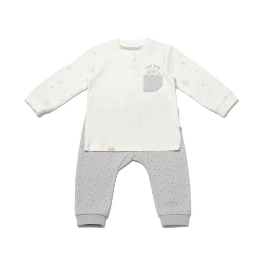 BiOrganic Koala Jungle Sweatshirt and Trousers Grey (2 Years) - BiOrganic - Image 2
