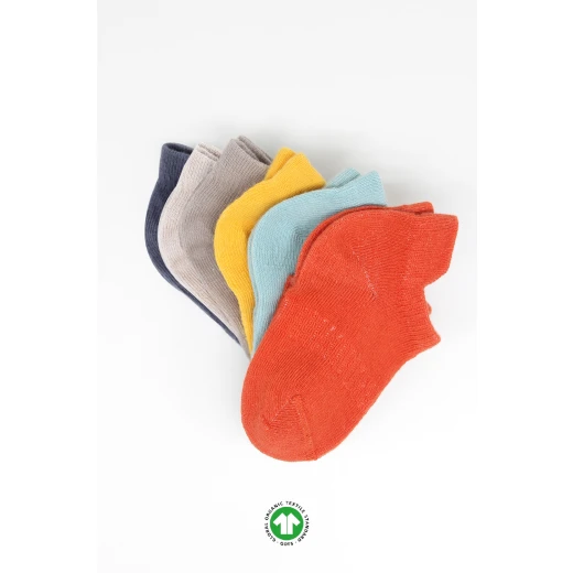 Bistyle 6-Pairs Combed Liner Socks (12-24 m) Colored - BiOrganic - Image 13