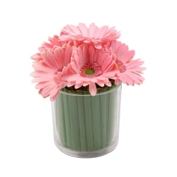 نوفا هوم "Gerbera" مزهرية زهور - 20 سم - زهري