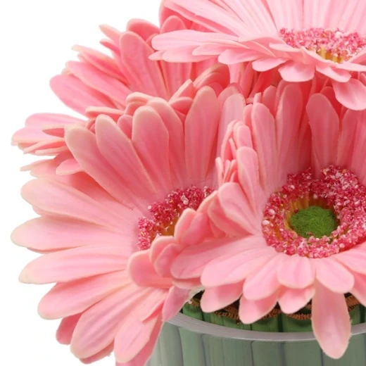 نوفا هوم "Gerbera" مزهرية زهور - 20 سم - زهري - نوفا هوم - Image 2