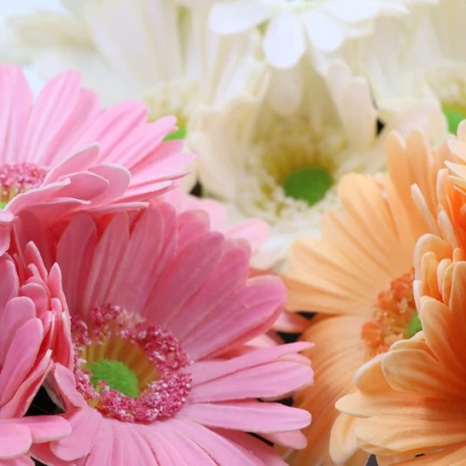 نوفا هوم "Gerbera" مزهرية زهور - 20 سم - زهري - نوفا هوم - Image 3