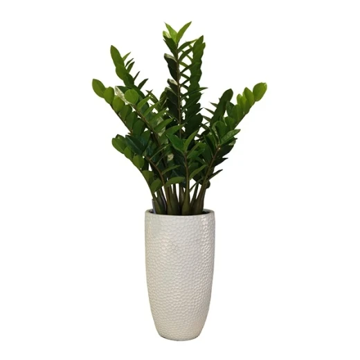 Nova Home & Bliss& Artificial Flower Arrangement - 100 cm - Green Nova Home & Bliss& Artificial Flower Arrangement - 100 cm - Green