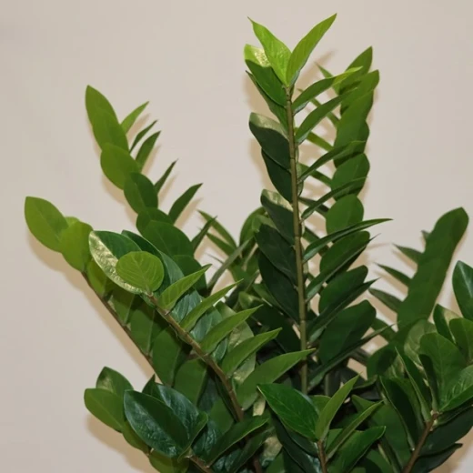 Nova Home & Bliss& Artificial Flower Arrangement - 100 cm - Green - Nova Home - Image 2