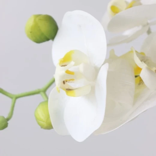 Nova Home "Delight" Flower Arrangement with Pot- 59 cm - White - Nova Home - Image 2
