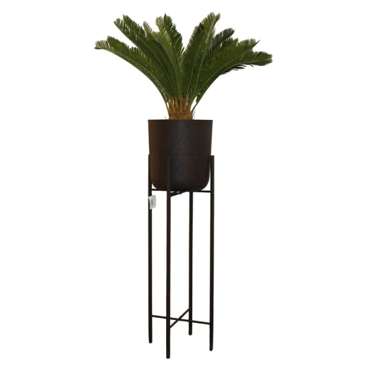 ويڤا Verdant قوار - بني - كبير - ويفا - Image 2
