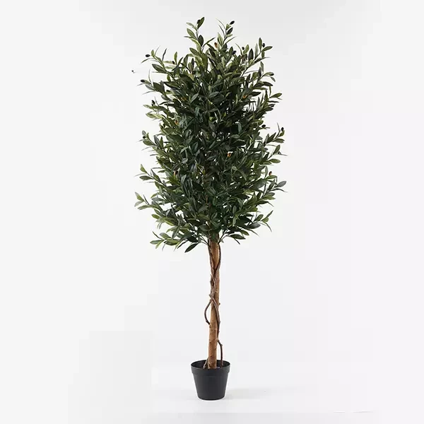 نوفا هوم "Olive" نبتة صناعية - 150 سم - أخضر - نوفا هوم