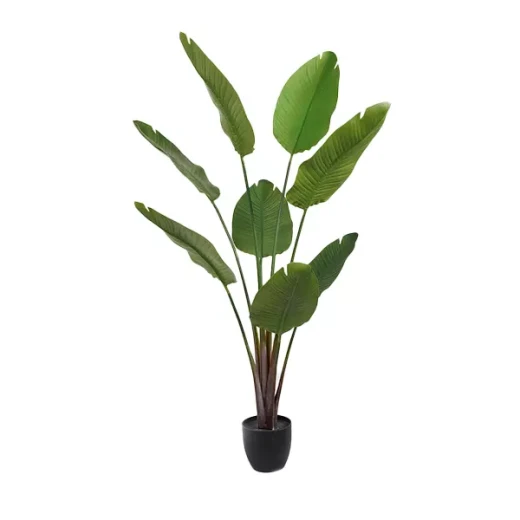 نوفا هوم "Strelitzia" نبتة صناعية - 159 سم - أخضر - نوفا هوم - Image 2