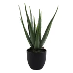 نوفا هوم "Aloe" نبتة صناعية - 55 سم - أخضر - نوفا هوم