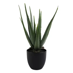 نوفا هوم "Aloe" نبتة صناعية - 55 سم - أخضر