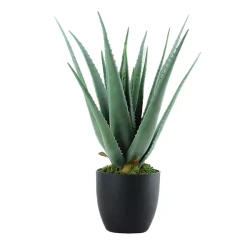 نوفا هوم "Aloe" نبتة صناعية - 69 سم - أخضر