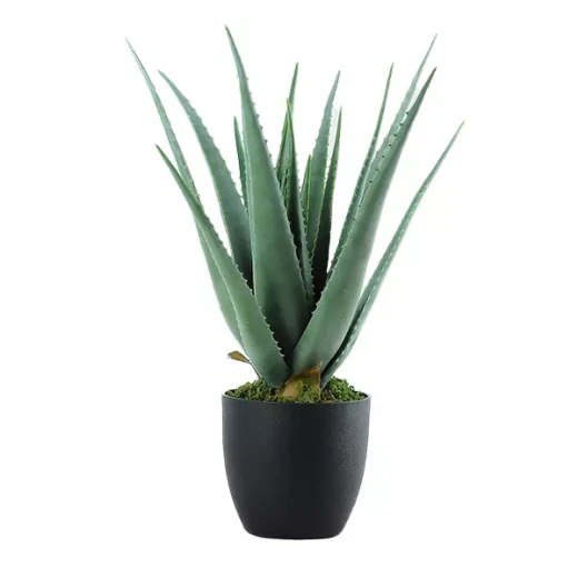 نوفا هوم "Aloe" نبتة صناعية - 69 سم - أخضر - نوفا هوم - Image 2