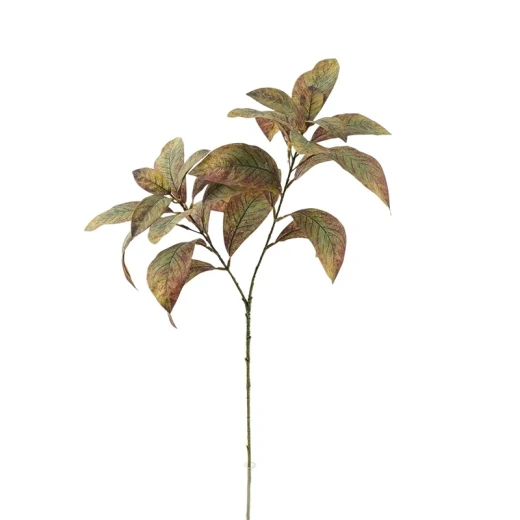سيقان وأغصان اصطناعية من نبات إيفا جرين ليف - ساقان مفردتان سيقان وأغصان اصطناعية من نبات إيفا جرين ليف - ساقان مفردتان