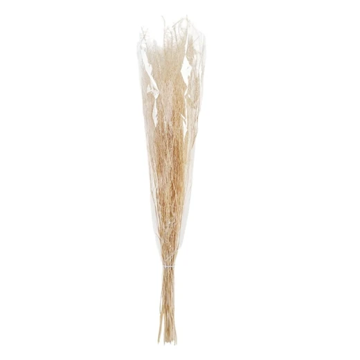 ويفا سيقان وأفرع عشب صناعية بيج "Grass" ويفا سيقان وأفرع عشب صناعية بيج "Grass"
