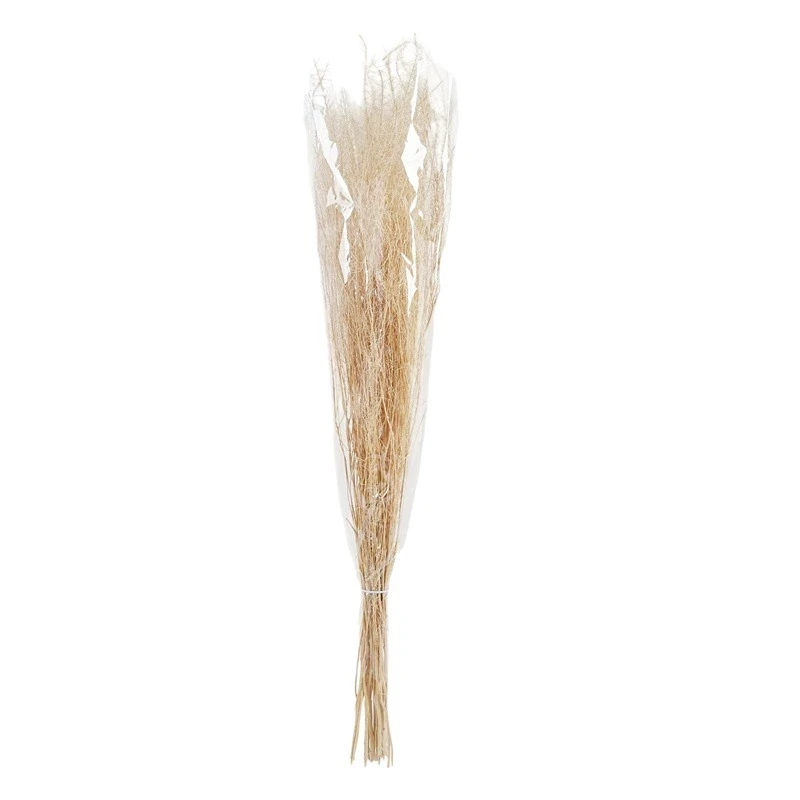 ويفا سيقان وأفرع عشب صناعية بيج "Grass" - ويفا