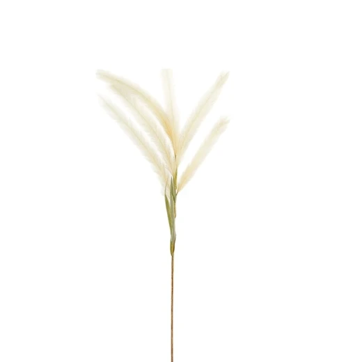 Weva 11x124 Cm Cream Reed Artifical Stems&Branches "Reed" - Weva - Image 2