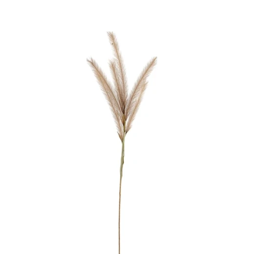 ويفا سيقان وفروع صناعية 11x124 سم بني "Reed"