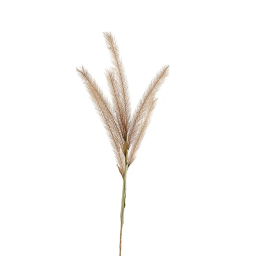 ويفا سيقان وفروع صناعية 11x124 سم بني "Reed" - ويفا - Image 2