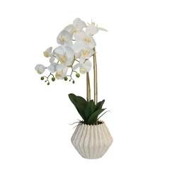 نوفا هوم "Lunaria" مزهرية زهور - 60 سم - أبيض