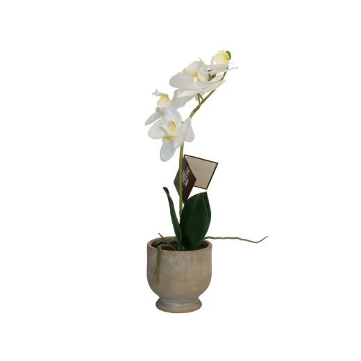 Nova Home "Ivoria" Flower Phalaenopsis Arrangement with Pot – 39 cm – White - Nova Home - Image 2