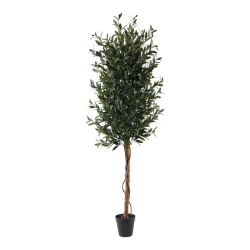 نوفا هوم Olive نبتة زيتون صناعية – 180 سم – أخضر