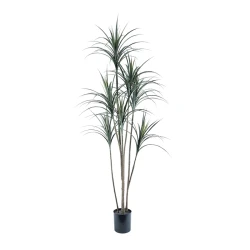Nova Home Artificial Dragon Tree with Pot – 190 Cm – Green