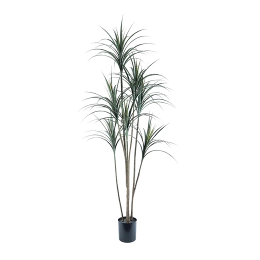 Nova Home Artificial Dragon Tree with Pot – 190 Cm – Green Nova Home Artificial Dragon Tree with Pot – 190 Cm – Green