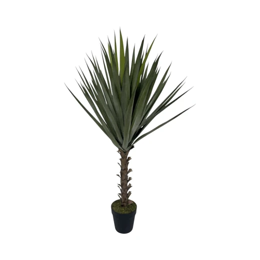 نوفا هوم Sisal نبتة صناعية – 118 سم – أخضر نوفا هوم Sisal نبتة صناعية – 118 سم – أخضر