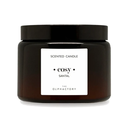 شمعة معطرة أمبينتير THE OLPHACTORY - 360 غم – خشب الصندل شمعة معطرة أمبينتير THE OLPHACTORY - 360 غم – خشب الصندل