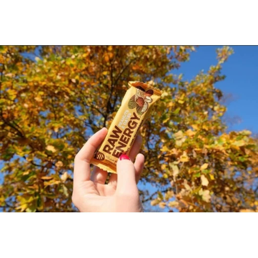 Bombus – Raw & Natural Vegan Energy Bar with Peanuts & Dates 50g - BOMBUS - Image 5