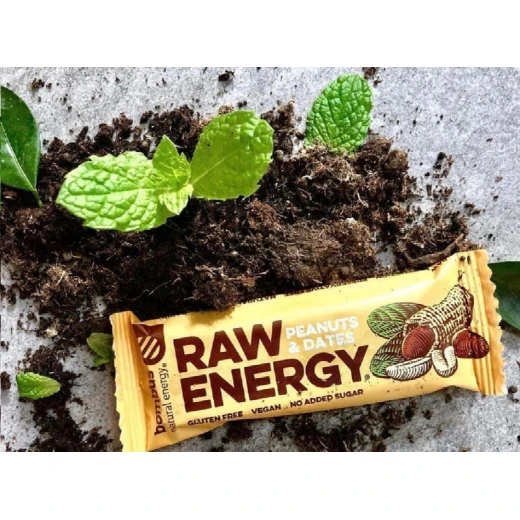 Bombus – Raw & Natural Vegan Energy Bar with Peanuts & Dates 50g - BOMBUS - Image 6