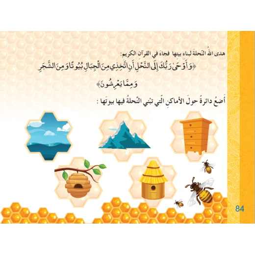 كتاب سنا الايمان, المستوى الاول  باللغة العربية - Image 2