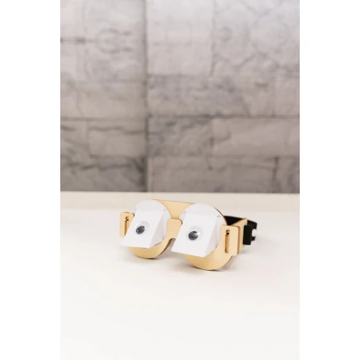 Spectrum Goggles - Barqboxes - Image 6