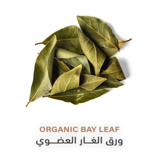 ورق الغار العضوي 20غم - هولستك كورنير - Image 3