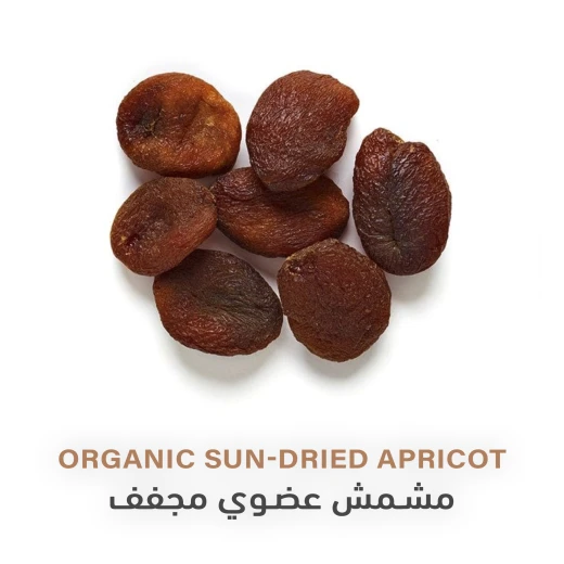 مشمش عضوي مجفف 100غم - هولستك كورنير - Image 2