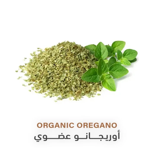 أوريجانو عضوي 25غم - هولستك كورنير - Image 2