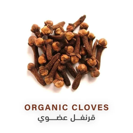 Organic Cloves 40g - Holistic corner - Image 2