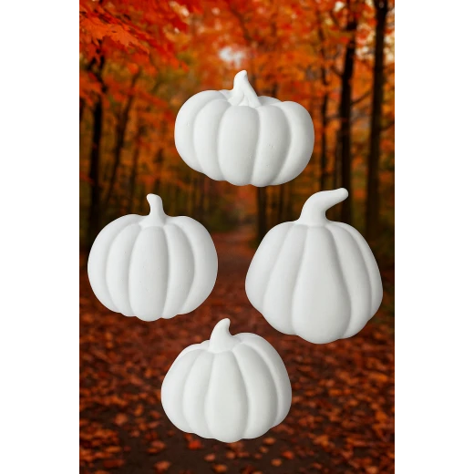 Sensoria ,Autumn mino gypsum collection (Assorted) - sensoria - Image 3