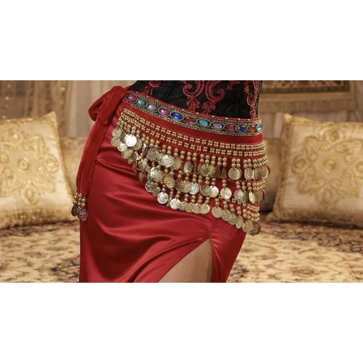 Velvet & Chiffon Belly Dance Hip Scarf with Gold/Silver Coins – 3 Layers - Image 3