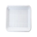 Plastic Plates Rectangle White Size 2 - 50 PCS - RZ Products