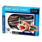 THAMES & KOSMOS Great White Shark Anatomy Model - Thames&amp;Kosmos