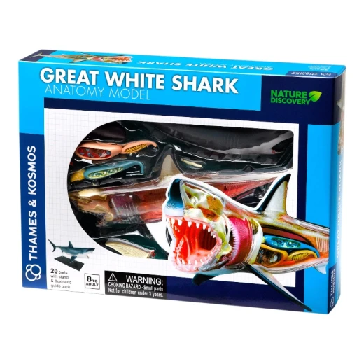 THAMES & KOSMOS Great White Shark Anatomy Model - Thames&amp;Kosmos - Image 2