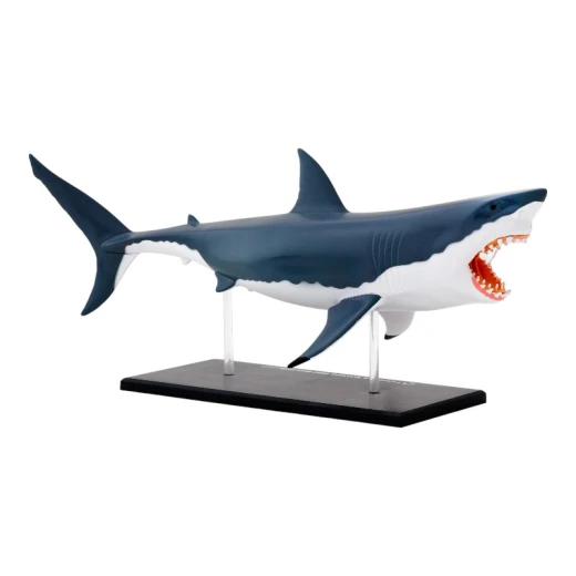 THAMES & KOSMOS Great White Shark Anatomy Model - Thames&amp;Kosmos - Image 4