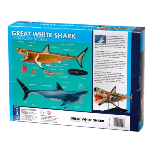 THAMES & KOSMOS Great White Shark Anatomy Model - Thames&amp;Kosmos - Image 6