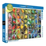 New York Puzzle 1000 Pieces Rainbow of Birds - New York Puzzle Company
