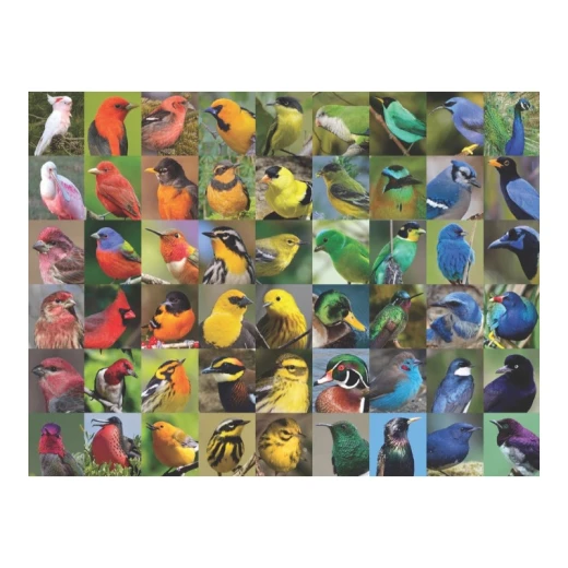 New York Puzzle 1000 Pieces Rainbow of Birds - New York Puzzle Company - Image 4