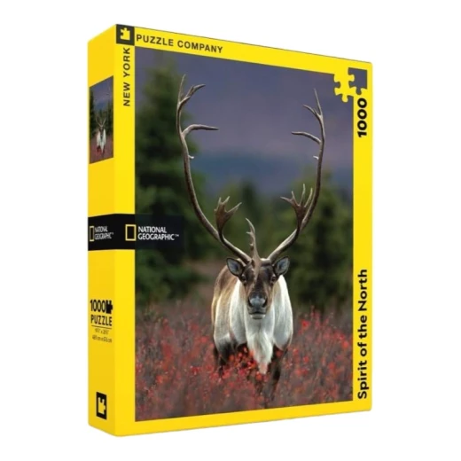 New York National Geographic Puzzle 1000 Pieces Spirit of the North - New York Puzzle Company - Image 2