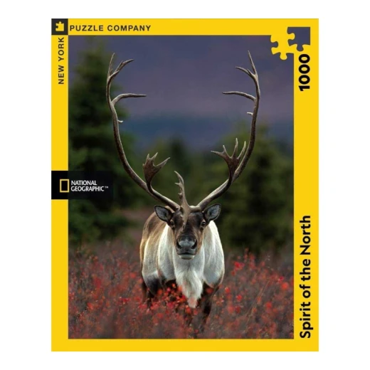 New York National Geographic Puzzle 1000 Pieces Spirit of the North - New York Puzzle Company - Image 3